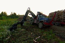 American Loggers Season 1: Hurricane on the Horizon