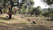 Länder - Menschen - Abenteuer