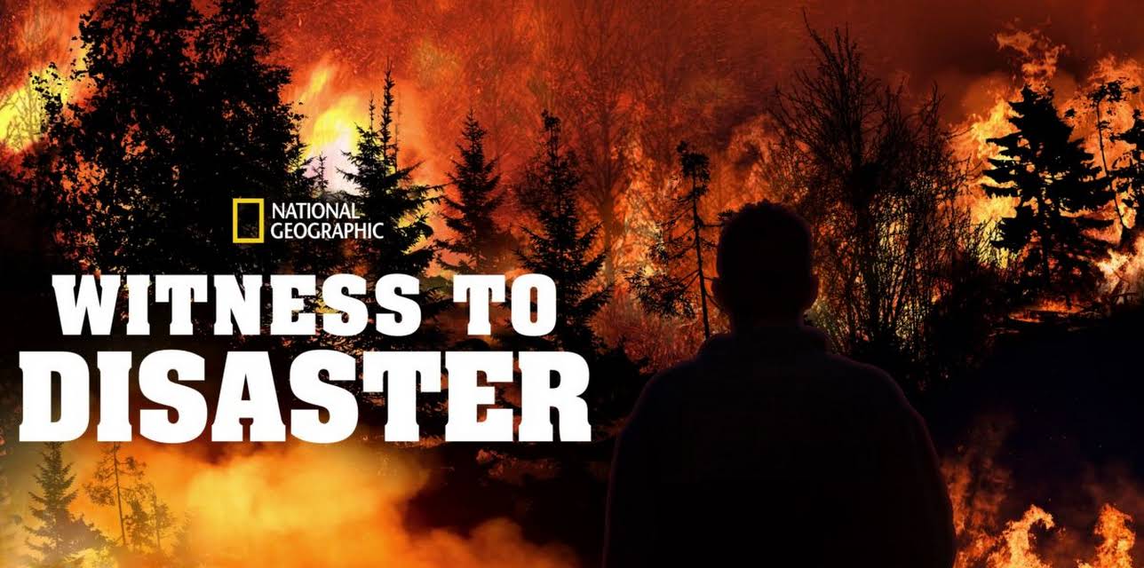 Witness To Disaster