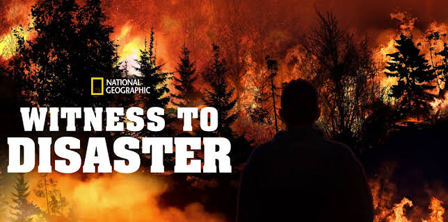Witness To Disaster