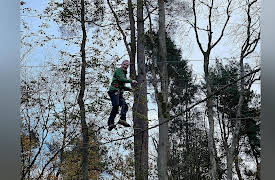 Robson Green's Weekend Escapes: Allendale with Matheson Green and David Green