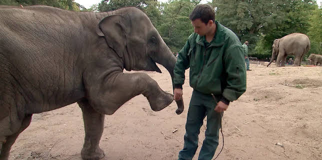 11:40: Leopard, Seebär & Co. | Radio Bremen | 2/27 2026