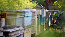 Medizin in fernen Ländern