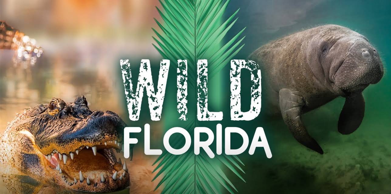 Wild Florida (1982)