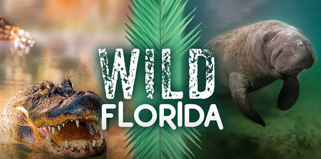 Wild Florida (1982)