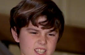 The Brady Bunch Season 1: The Hero