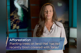 The Great Tours: Iceland: Restoring and Reforesting Iceland