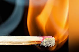 The Science of Information: From Language to Black Holes: Entropy and Microstate Information