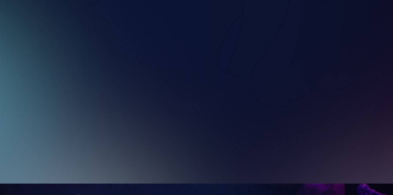 The Bravery - Live At House Of Blues Anaheim 2008 (2008)