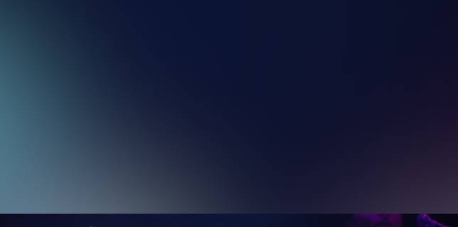 The Bravery - Live At House Of Blues Anaheim 2008 (2008)