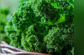 The Botanist's Eye: Identifying the Plants around You: Brassica Eudicots: The Mustards