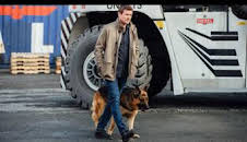 Hudson y Rex (T3): Ep.10 Avivando las llamas