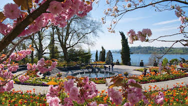 19:20: Heimat entdecken: Blüten, Gärten und Genießen | SWR Fernsehen BW | 4/6 2026