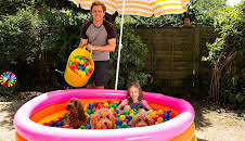 Waffle the Wonder Dog