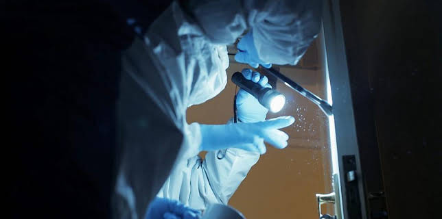 11:00 PM: Forensics: The Real CSI (S6) | BBC Two | 3/24 2026