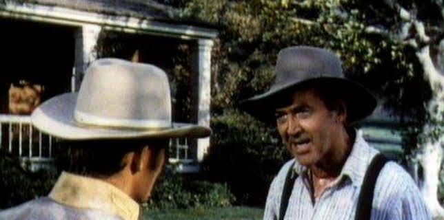 Shenandoah (1965)