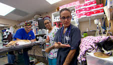 Dyrlegen i Rocky Mountain (S2 E6)