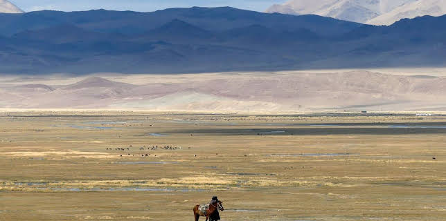 19:30: Die Adlerjäger in der Mongolei | Arte | 1/25 2026
