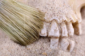 Big History: The Big Bang, Life on Earth, and the Rise of Humanity: "Homo sapiens"—The First Humans