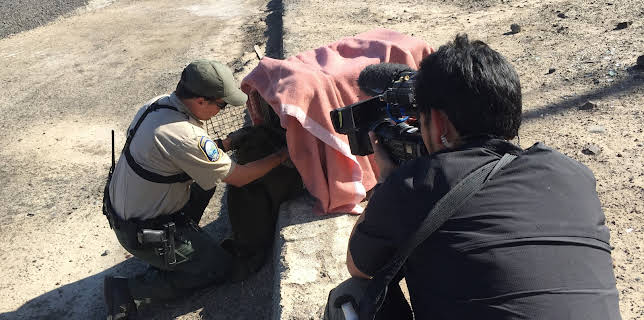 03:45: Rugged Justice (S2 E4) (S2) | Animal Planet | 11/28 2025