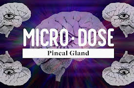 Microdose: Pineal Gland