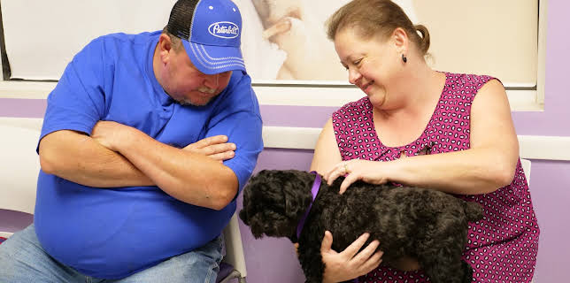 11:15: The Vet Life (S4 E1) (S4) | Animal Planet | 12/30 2025