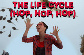 Ginalina's Music Club: The Life Cycle (Hop, Hop, Hop)