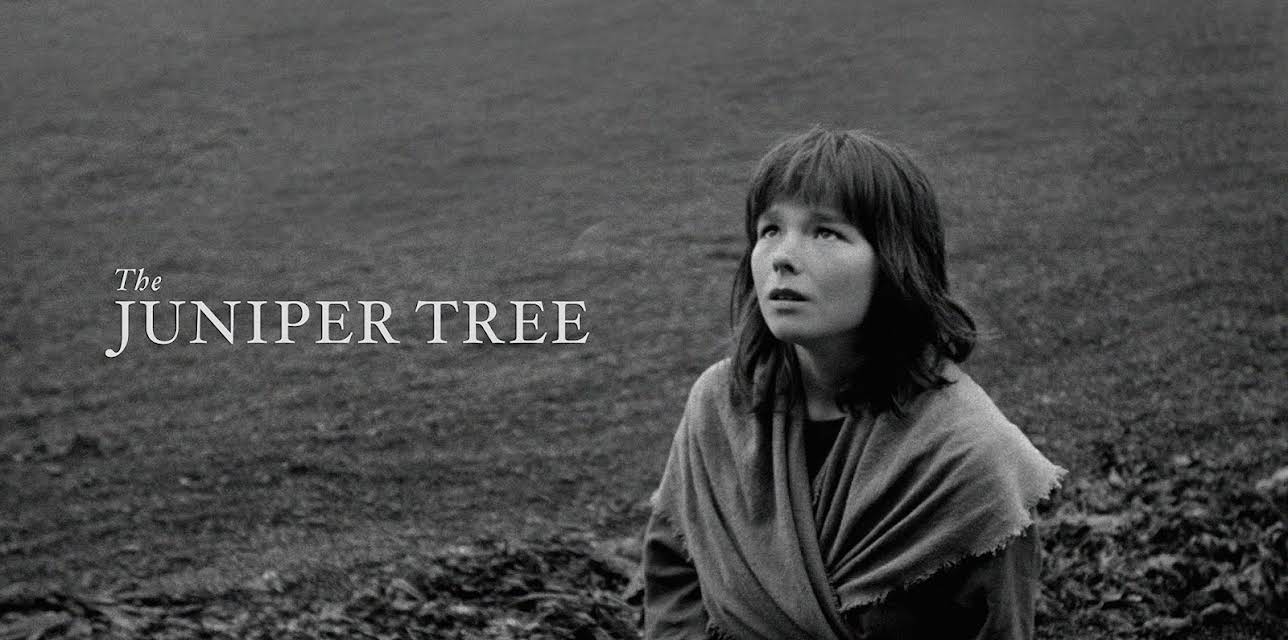 The Juniper Tree (1990)