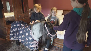 3:55 PM: Our Farm Next Door: Amanda,... | Channel 4 | 9/6 2026