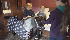 Our Farm Next Door: Amanda,...