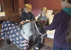 Our Farm Next Door: Amanda,...