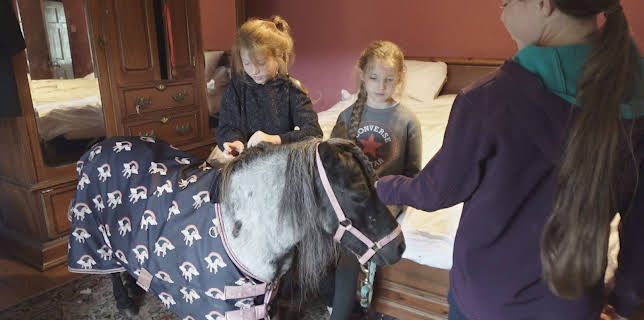 12:10 AM: Our Farm Next Door: Amanda,... | More 4 | 12/17 2025