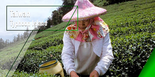 Taiwan - Typhoon Island (2004)