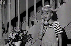 Dennis The Menace, Season Two: Dennis, The Campaign Manager