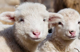 A History of England from the Tudors to the Stuarts: Private Life—The Commoners