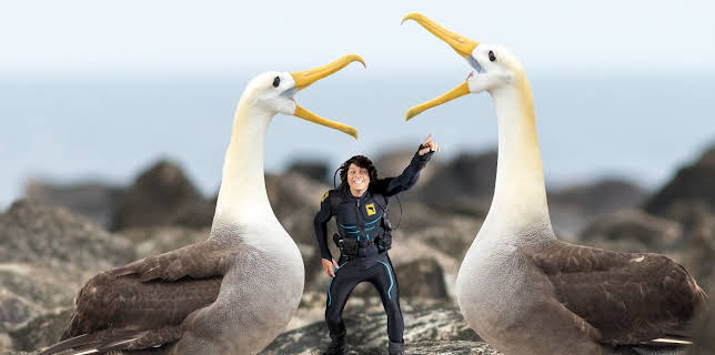 10:35: Andys ville vasseventyr: Andy og galapagosalbatrossen | NRK Super | 11/19 2025