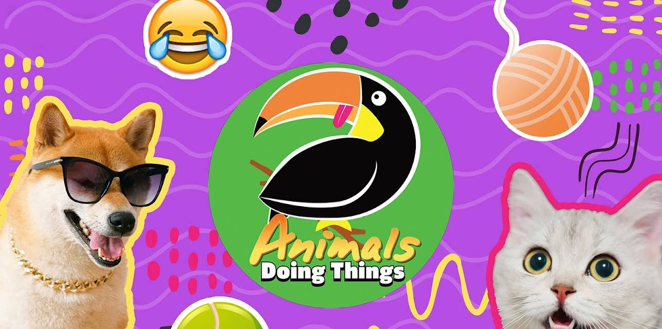 Animals Doing Things