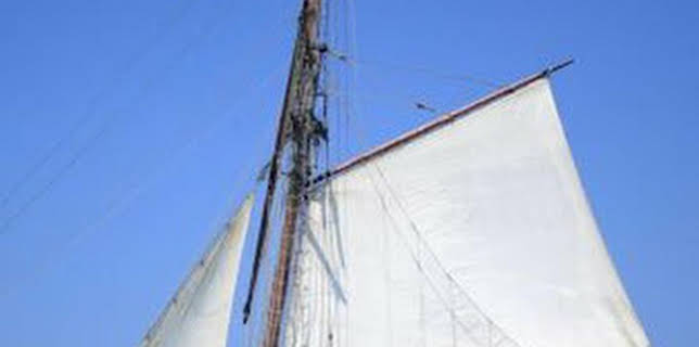 17:02: Thalassa: Un mar de vinyes | Esport 3 | 12/12 2025