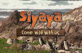 Siyaya – Come Wild With Us: Search for the Big Seven Part 1: The Garden of Eden