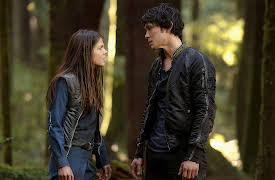 The 100: Twilight's Last Gleaming