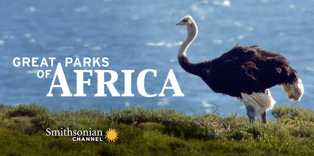 Great Parks Of Africa