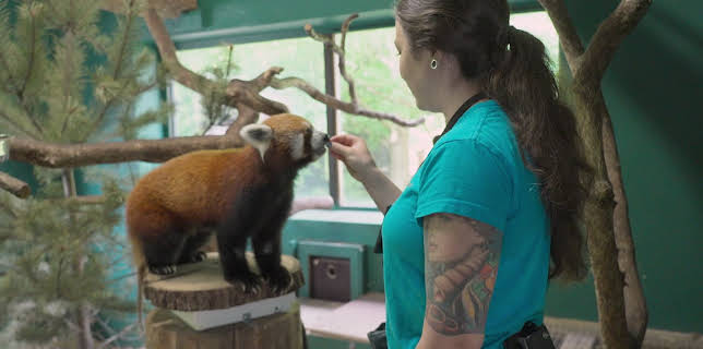 18:00: Dyrepasserne | TV 2 | 11/12 2025