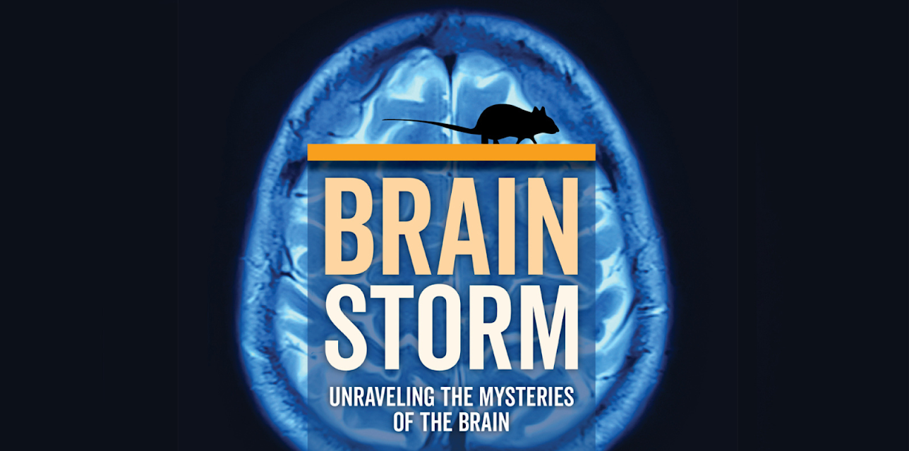Brainstorm: Unraveling the Mysteries of the Brain (2024)