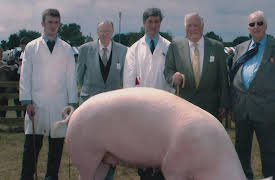 The Farmers Country Showdown: Episode 13