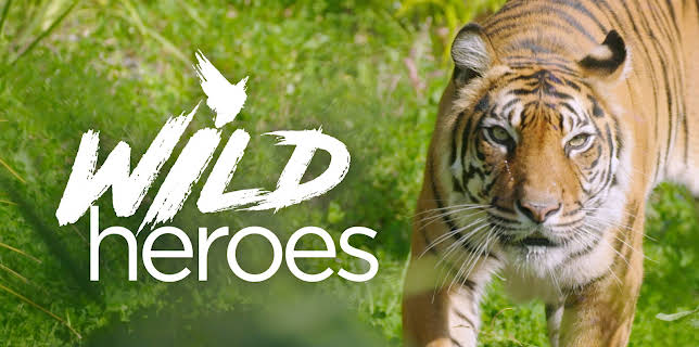 Wild Heroes, S1