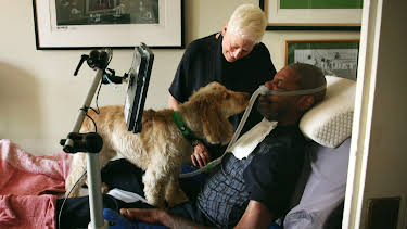 21:35: Hundehuset: Bailey og Dave | NRK 2 | 4/15 2026