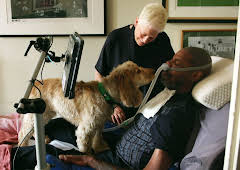 Hundehuset: Bailey og Dave