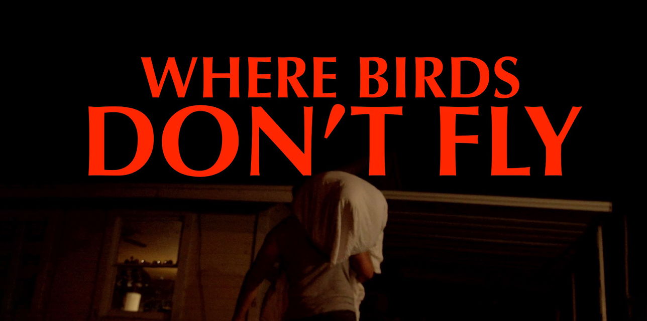Where Birds Don't Fly (2017)
