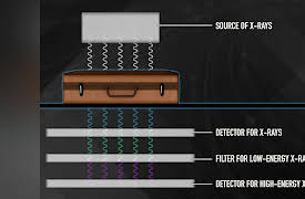 Electrical Engineering for Everyone: Electrical Engineering in the Everyday World