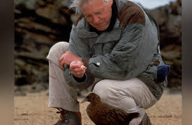 Life of Birds: The Insatiable Appetites